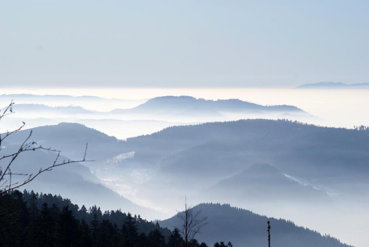 Schauenburgblick Appartement Oberkirch  Buitenkant foto